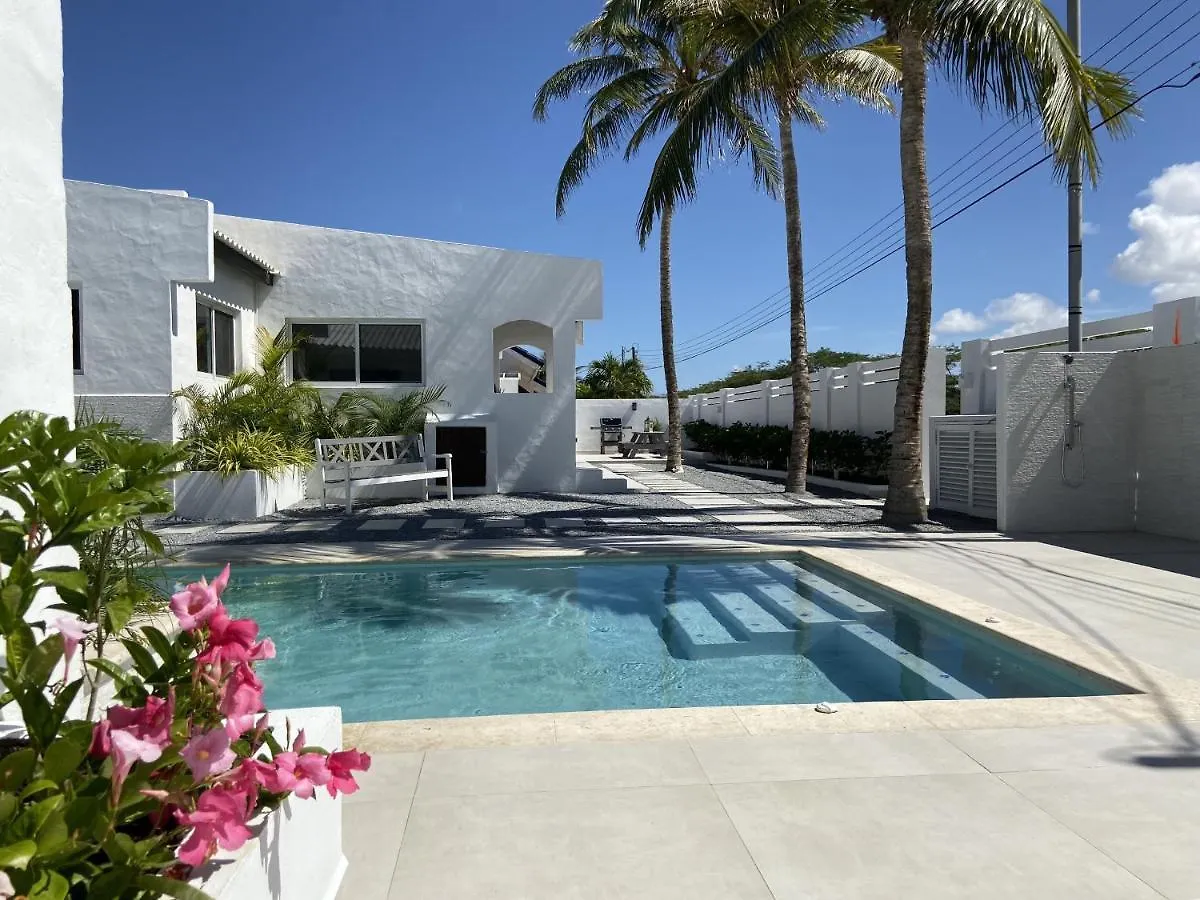 Movida Inn Aruba Palm Beach