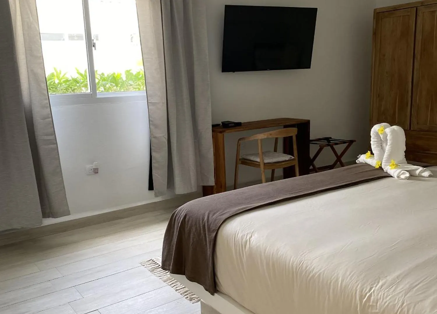 Movida Inn Aruba Palm Beach 0*,  Aruba