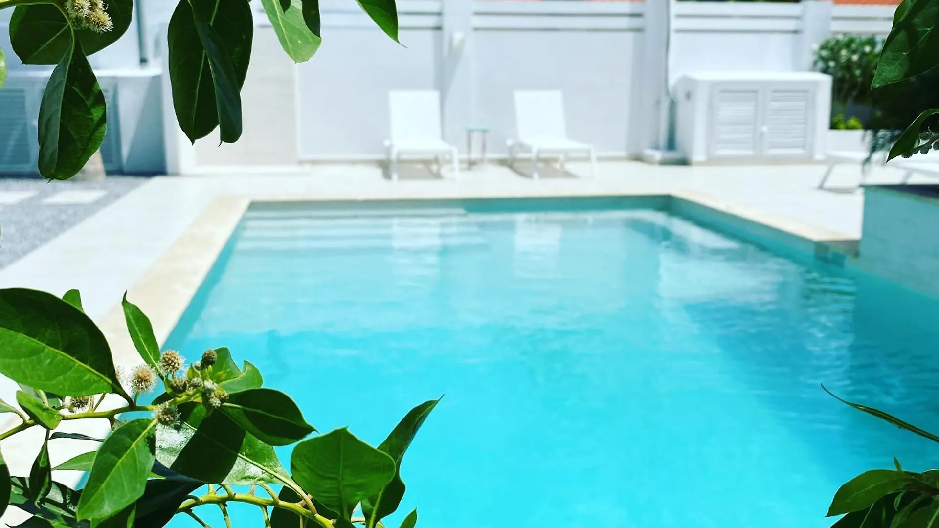 Movida Inn Aruba Palm Beach