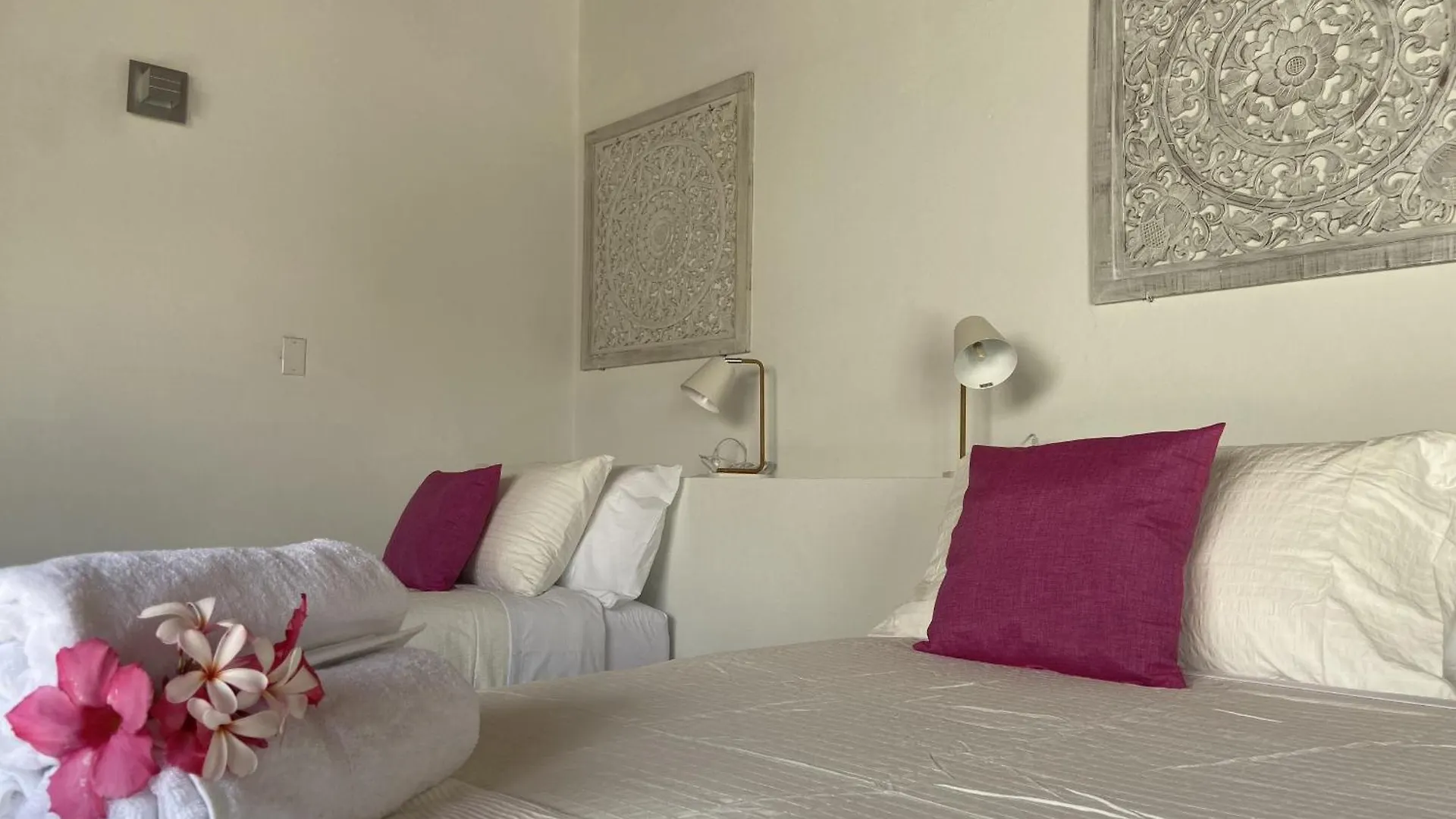 Movida Inn Aruba Palm Beach Aruba