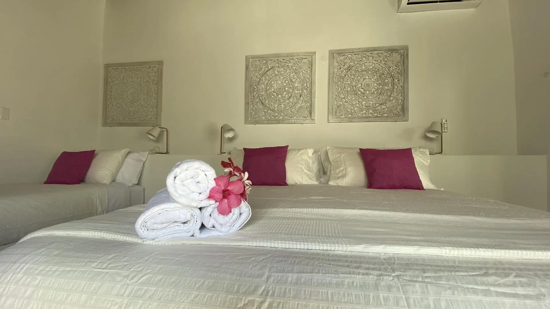 Movida Inn Aruba Palm Beach Apartment