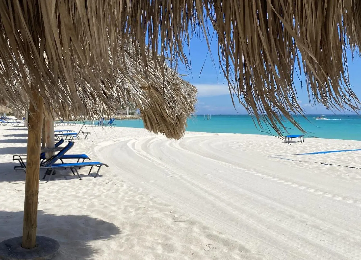 Movida Inn Aruba Palm Beach Apartment