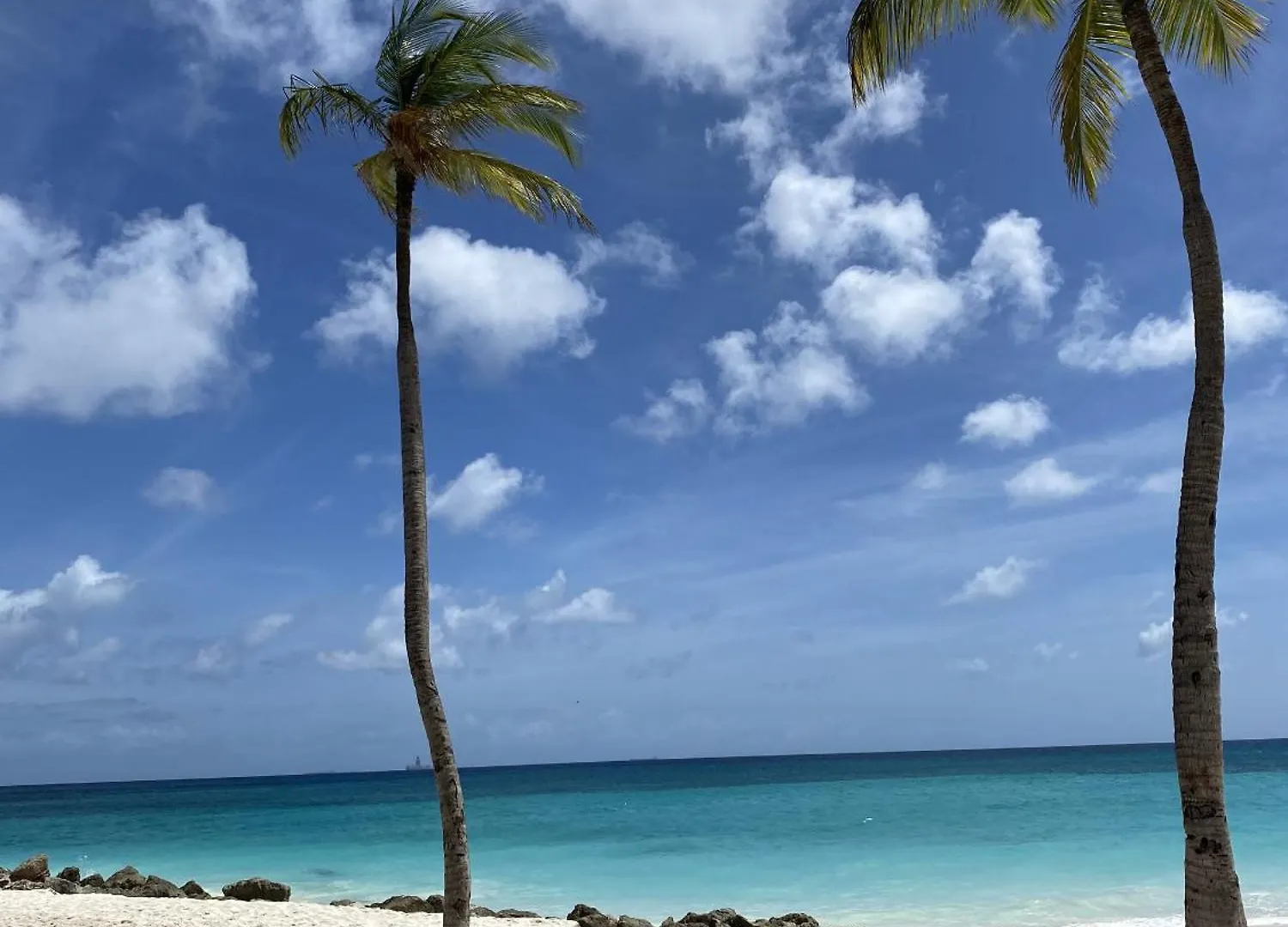 Movida Inn Aruba Palm Beach