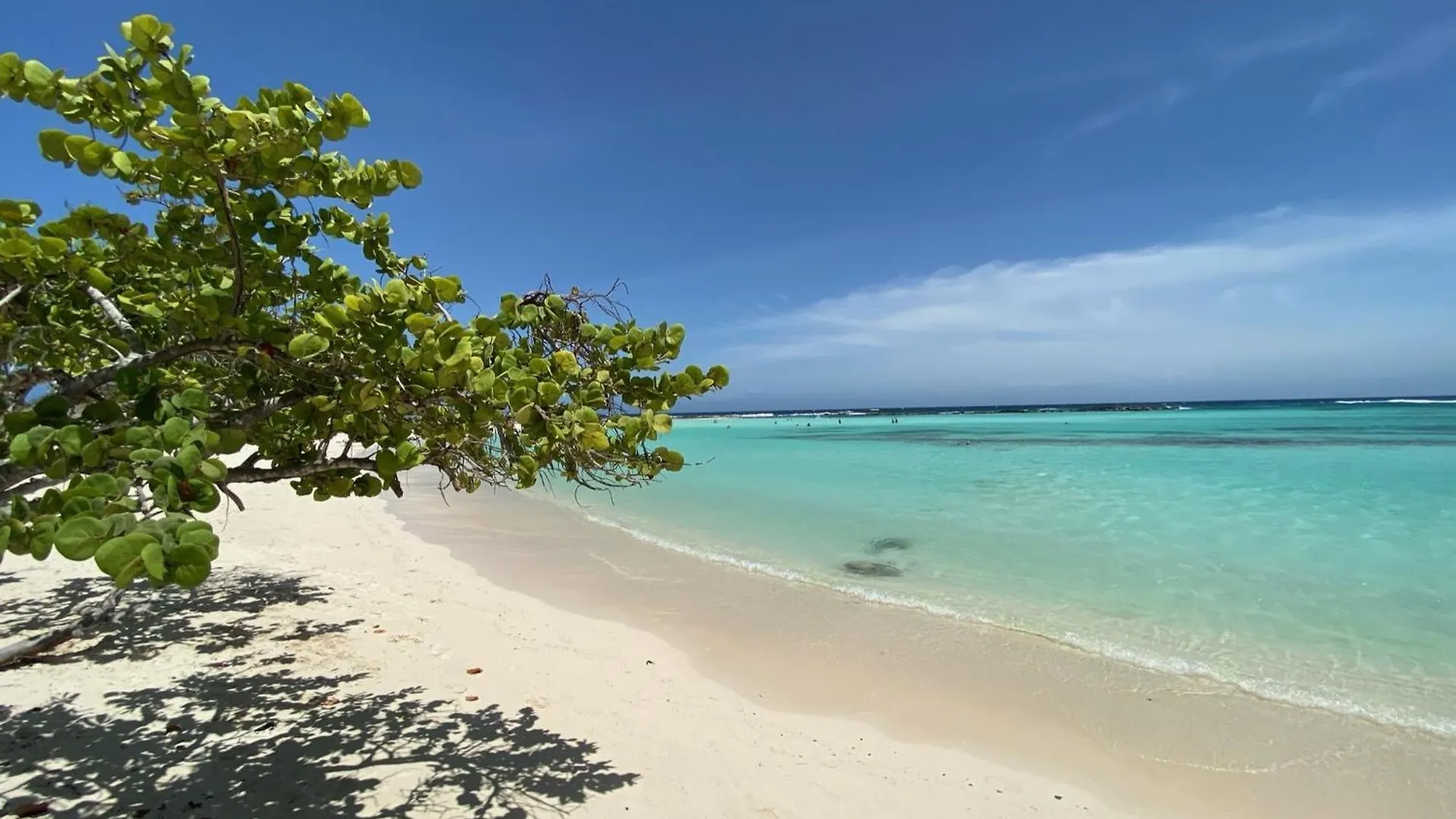 Apartment Movida Inn Aruba Palm Beach
