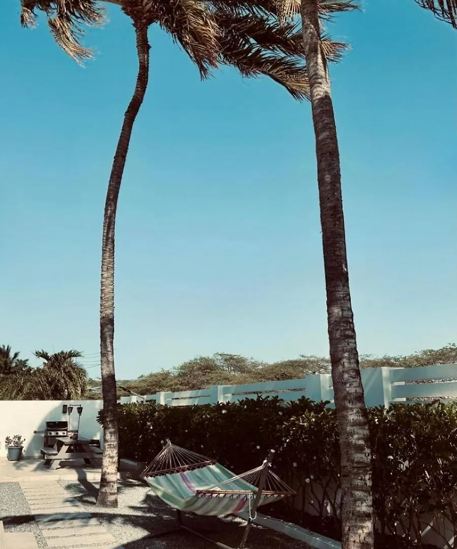 Movida Inn Aruba Palm Beach 0*,